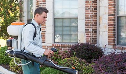 Mosquito Control