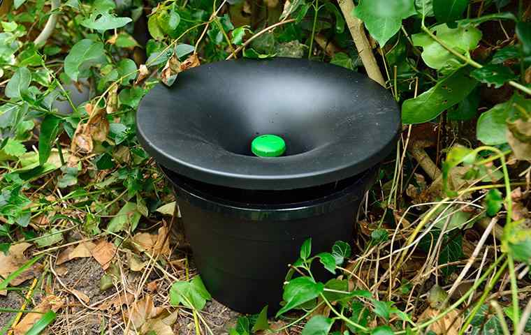 mosquito misting system