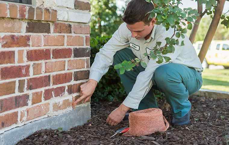 technician inspecting property