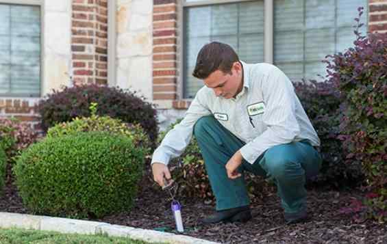 technician treating for termites