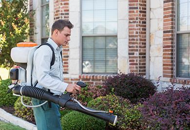 Mosquito Control
